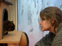 Modèle Aylin Photographe Alain Pengrech boucles d'oreilles lune wicca opalite bijou lithothérapie chat